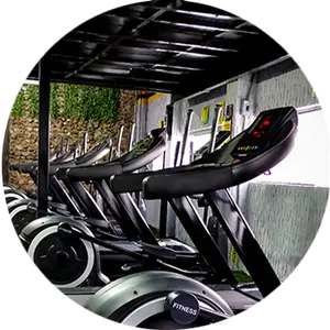 Gimnasio